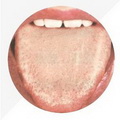 Pale Thin Tongue,tongue coating white