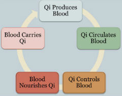 Introduction of Defense-Qi-Nutrient-Blood Syndrome Differentiation