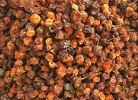 a pile of dried seabuckthorn fruit berries