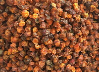 Seabuckthorn Fruit:herb photo
