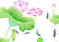 a colorful drawing of Nelumbo nucifera Gaertn.,green leaves,pink lotus flowers, and small carps in a pool