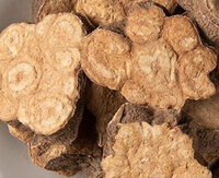 brownish dried root slices of Radix Polygoni Multiflori