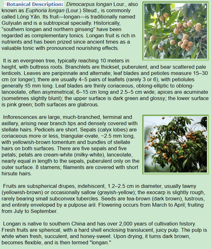 Botanical Description of Dimocarpus longan Lour,tree,branch,leaf,inflorescences,fruit