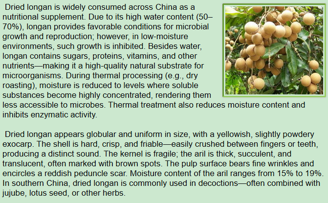 Botanical Description of Dimocarpus longan Lour,longan,fruit