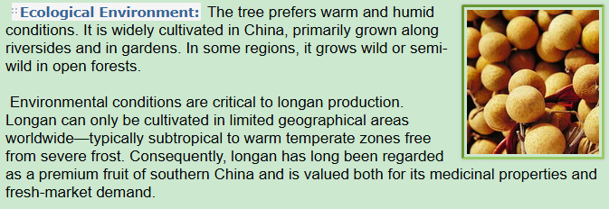 Ecological Environment of Dimocarpus longan Lour