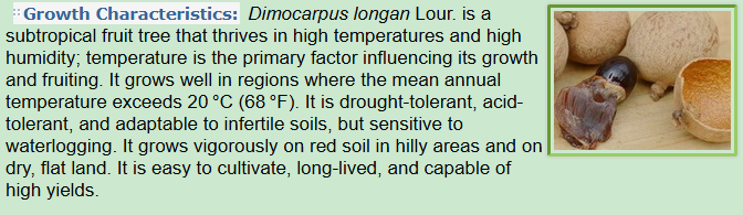 Growth Characteristics of Dimocarpus longan Lour