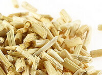 Lalang Grass Rhizome.:dried herb