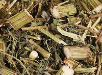 Sweet Wormwood Herb:herb photo