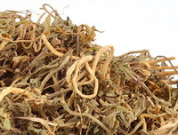 Chinese Lobelia Herb:herb photo