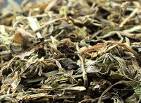 Common Dayflower Herb:herb photo