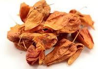 Franchet Groundcherry Fruit:dried herb