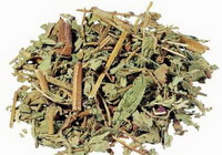 Herba Patriniae:dried herb