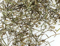 Herbe Oldenlandia:photo d herbe