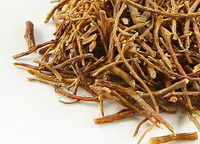 Chinese Gentian:herb photo