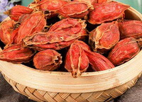 several orange-colored dried fruit berries of Cape-jasmine Fruit