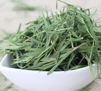 Lophatherum Herb:herb photo.