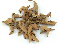Folium Pyrrosiae:herb photo
