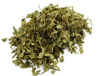 Herba Lysimachiae:photo d herbe