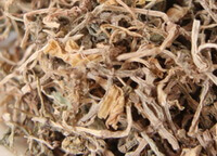 dried herb pieces and segments of Stringy Stonecrop Herb