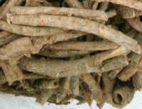 Chinese Silkvine Root-bark:herb photo