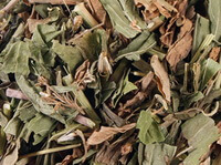 Herba Eupatorii:photo d herbe
