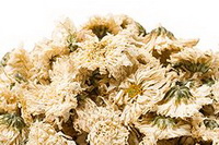 Chrysanthemum blomst urt:Bo Juhua