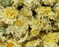 Chrysanthemum blomst urt:Chu Juhua