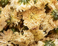 Erba del fiore del crisantemo:Gong Juhua