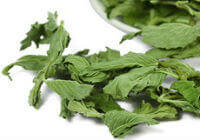 Peppermint:herb photo