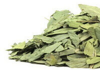 Folium Sennae:herb photo