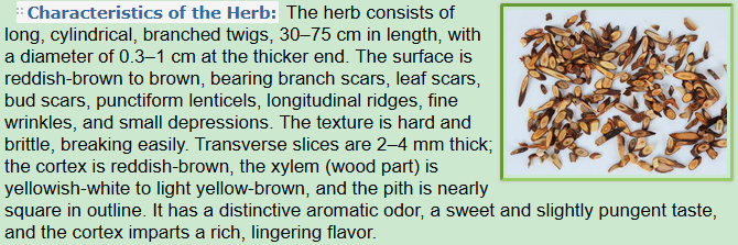 Characteristics of the herb:root bark of Cinnamomum cassia Presl