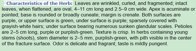 Characteristics of the Herb:Perilla Leaf