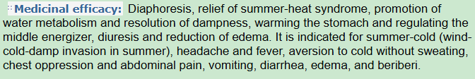 Medicinal Efficacy of Elsholtzia Herb