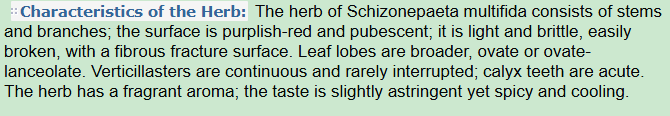 Characteristics of the Herb:Schizonepeta Herb