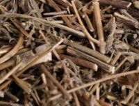 Mosla chinensis Maxim .cv. Jiangxi-angr:dried herb