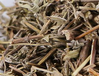 Mosla chinensis Maxim:Getrocknetes Herb.