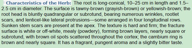 Characteristics of the Herb:Dahurian Angelica Root