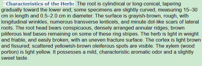 Characteristics of the Herb:Divaricate Saposhnikovia Root