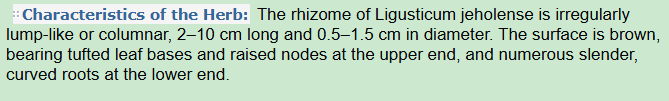 Characteristics of the Herb:Chinese Ligusticum Rhizome