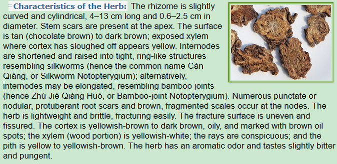 Characteristics of the Herb:Notopterygium Rhizome or Root