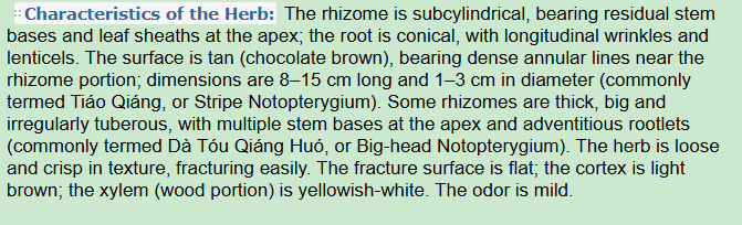 Characteristics of the Herb:Notopterygium Rhizome or Root