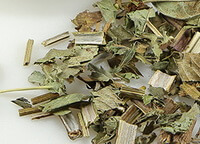 Bugleweed Herb:herb photo