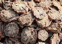 Danshen Root:herb prepared by traditional method
