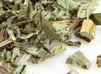 Herba Lycopi:herb photo