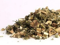 Herba Leonuri:herb photo