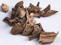 Big Thistle Root:herb photo