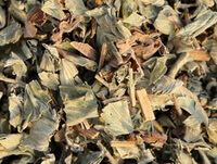 Hairvein Agrimonia Herb:herb photo