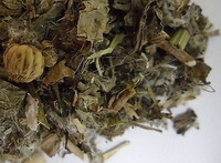 Herba Cirsii:herb photo