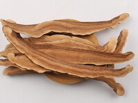 Ganoderma Lucidium:photo of herb slices