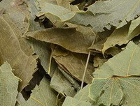 Epimedium pubesens Maxim:herbe de feuilles préparées